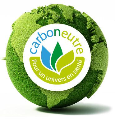 Première neige sur la pelouse